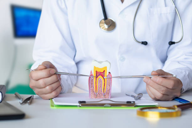 Best Emergency Cosmetic Dentistry in Pleasure Point, CA